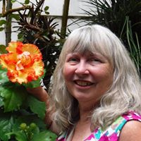 Connie Kramer Photo 25