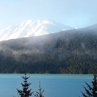 Traci Petersen Photo 18