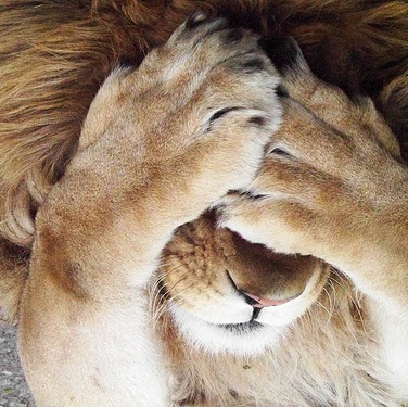 Raymond Tillman Photo 11