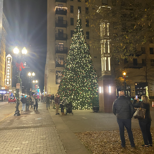 Andrew Rowan Photo 8 Andrew Rowan Photo 8