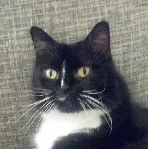 Matthew Barrett Photo 30 Matthew Barrett Photo 30