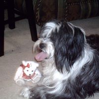 Rita Patterson Photo 22