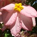 David Parks Photo 25