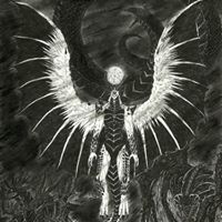 Ronnie Williamson Photo 23