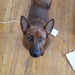 Chris Rooks Photo 29