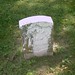 Benjamin Reed Photo 27