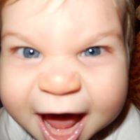 Everett Wiley Photo 3