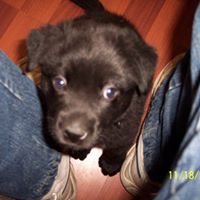 Thomas Hoover Photo 14