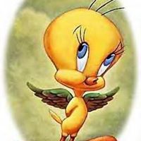 Sara Ferrell Photo 11