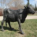 Regina Potter Photo 21