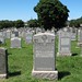 Joseph Sheehan Photo 19
