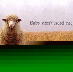 Michelle Harvey Photo 19