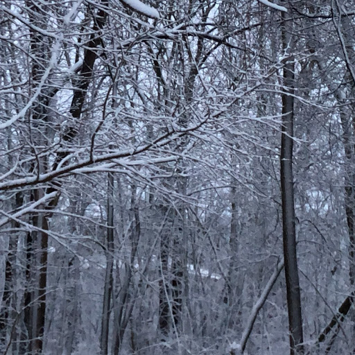 Alyssa Webster Photo 7