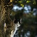 Steven Gatto Photo 15