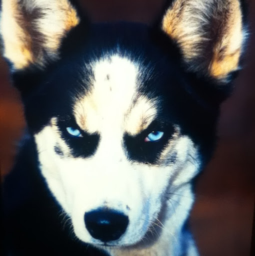 Nathaniel Valentine Photo 18