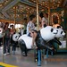 Lai Leung Photo 7