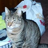 Marjorie Hicks Photo 4