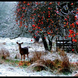 Laura Slattery Photo 4