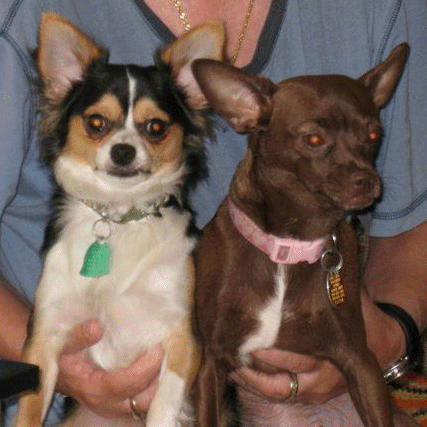 Raymond Phillips Photo 15 Raymond Phillips Photo 15