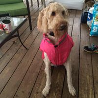 Kathy Stack Photo 23