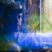 Christopher Ackerman Photo 12