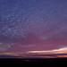 Dawn Payne Photo 44