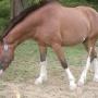 Teresa Kincaid Photo 6