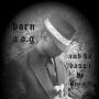 John Cheek Photo 17