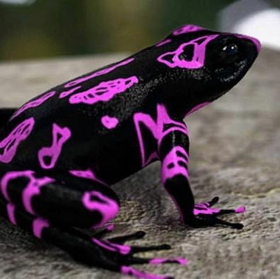 Carol Summers Photo 2 Carol Summers Photo 2