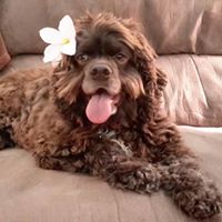 Sharon Jacobson Photo 11