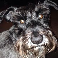 Ginger Wiley Photo 20