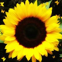 Janice Littrell Photo 3