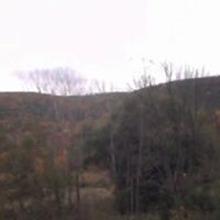 Nancy Foran Photo 20