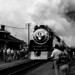 Eugene Schultz Photo 9
