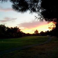 Roxann Reynolds Photo 4