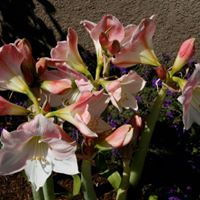 Margaret Moseley Photo 9