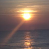 Cindy Hewitt Photo 28