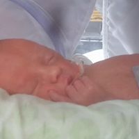 Sarah Fraser Photo 12 Sarah Fraser Photo 12