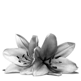 Kathryn Green Photo 33