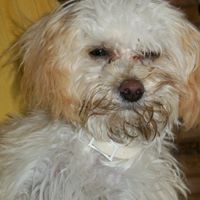 Eddie Austin Photo 23