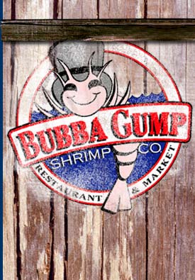 William Stearns Photo 12 William Stearns Photo 12