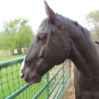 Kathy Mckay Photo 22