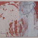 Colleen Reid Photo 35