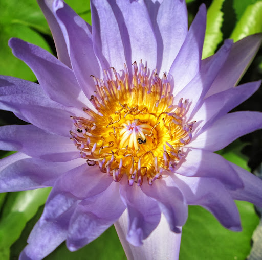 Linda Clements Photo 12