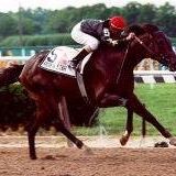 Laura Peters Photo 19