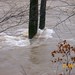 Susan Snead Photo 16