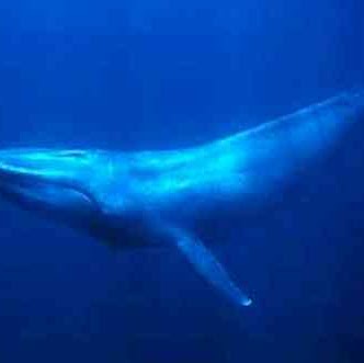 Miranda Rice Photo 13