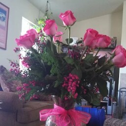 Debbie Holden Photo 30