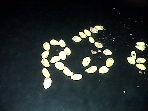 Dave Tillman Photo 11