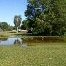 Phyllis Kemp Photo 7